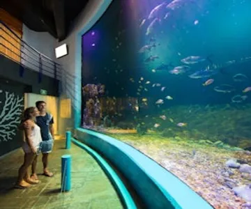 Interactive Aquarium Cancún: Entry Ticket